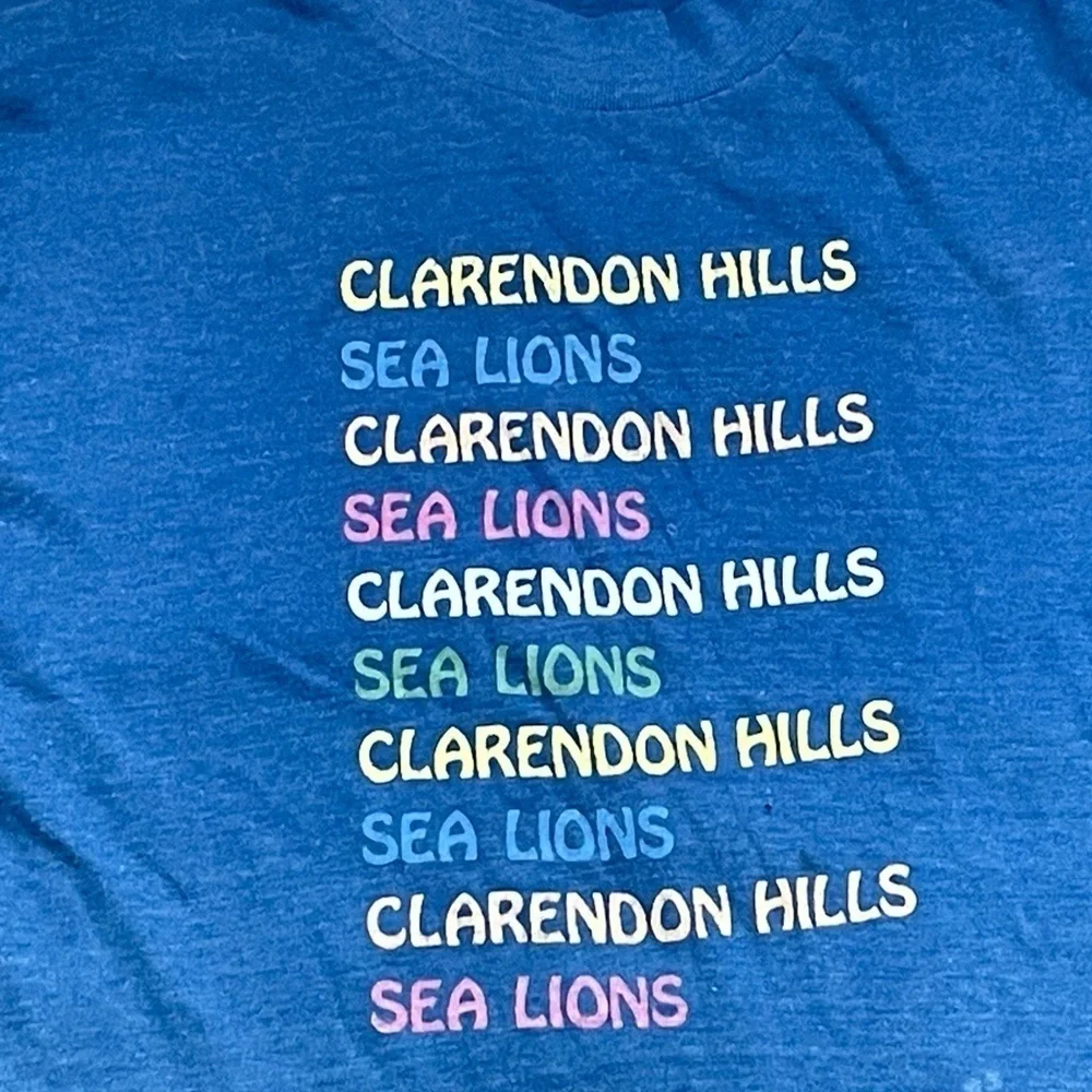 Vintage 1980s Clarendon Hills Sea Lion Blue Graphic 80s Tee Top Shirt